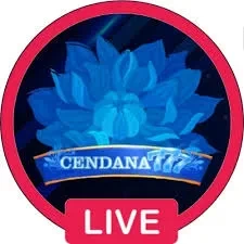 Cara Menggunakan Aplikasi cendana777 untuk Pemula